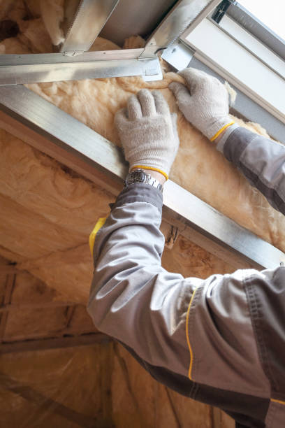 Best Eco-Friendly or Green Insulation Solutions  in Steele, MO